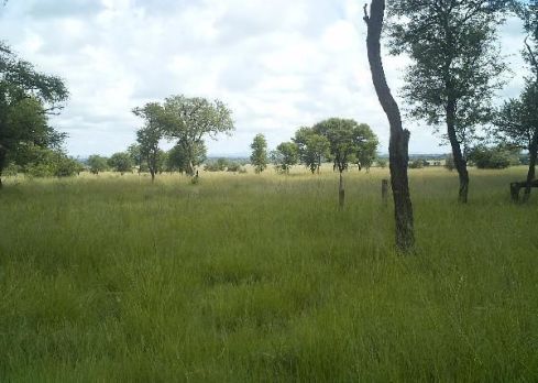 578755bc9eb3950040000c5f_0