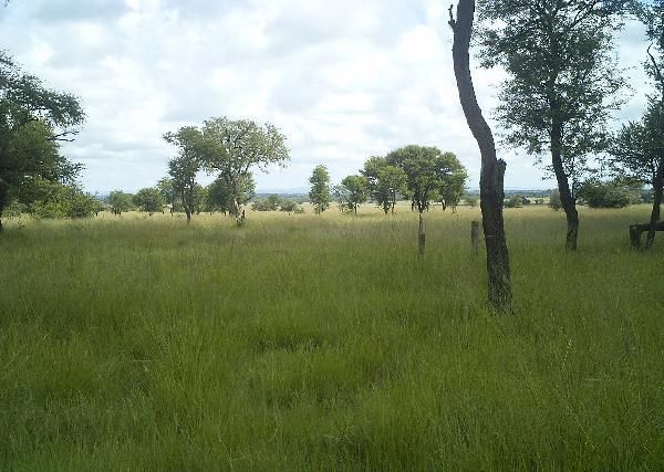 578755bc9eb3950040000c5f_0