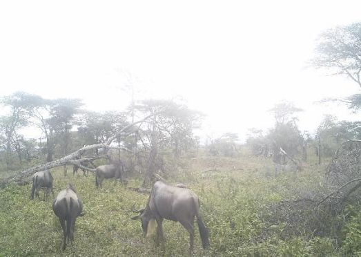 578758669eb395004001eee1_0