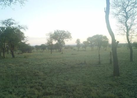 57875e579eb3950040064a91_0