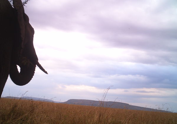 M2E39L138-130R399B310